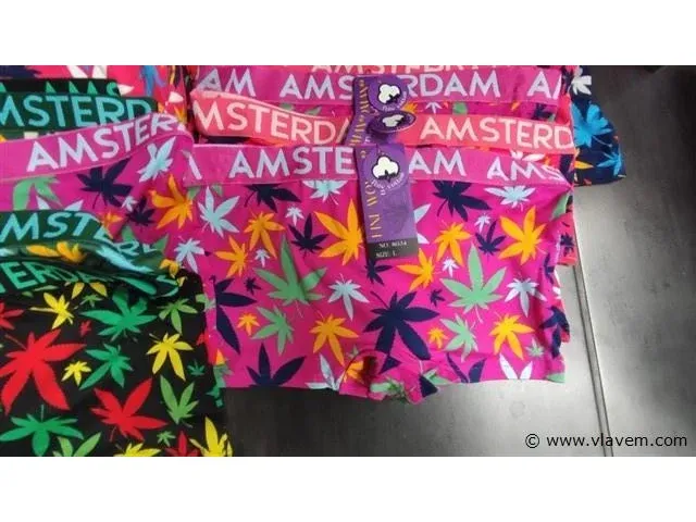 Amsterdam dames boxershorts m-xxl 60 stuks - afbeelding 3 van  5
