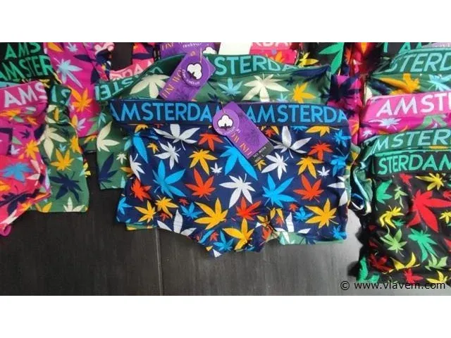 Amsterdam dames boxershorts m-xxl 60 stuks - afbeelding 4 van  5