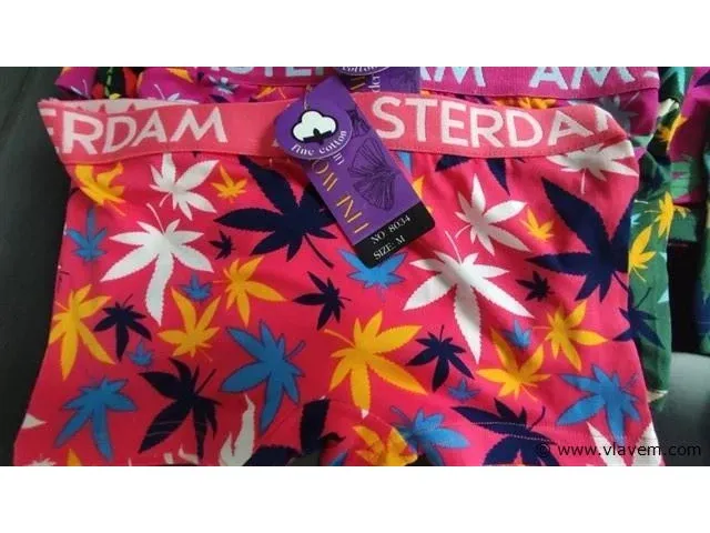 Amsterdam dames boxershorts m-xxl 60 stuks - afbeelding 5 van  5