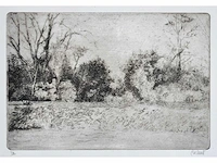 André roelant - landschap - ets - afbeelding 1 van  6