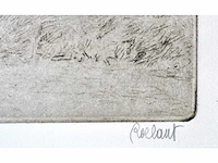 André roelant - landschap - ets - afbeelding 3 van  6