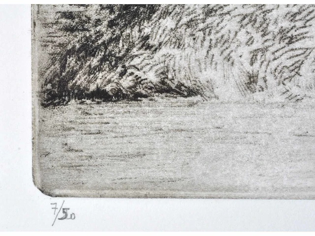 André roelant - landschap - ets - afbeelding 4 van  6