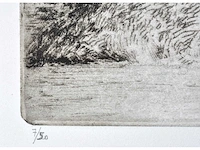 André roelant - landschap - ets - afbeelding 4 van  6