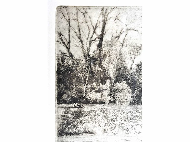 André roelant - landschap - ets - afbeelding 5 van  6