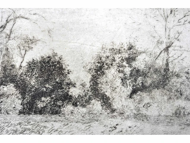 André roelant - landschap - ets - afbeelding 6 van  6