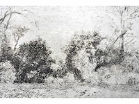 André roelant - landschap - ets - afbeelding 6 van  6