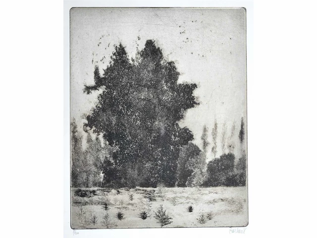 André roelant - landschap - ets - afbeelding 1 van  8