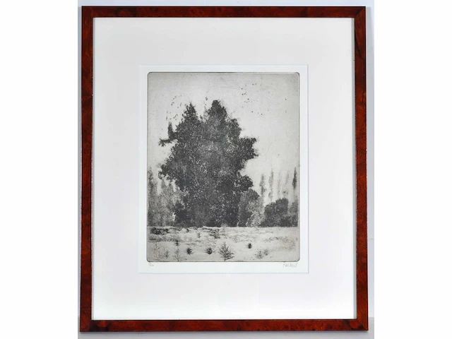 André roelant - landschap - ets - afbeelding 2 van  8