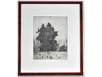 André roelant - landschap - ets - afbeelding 2 van  8
