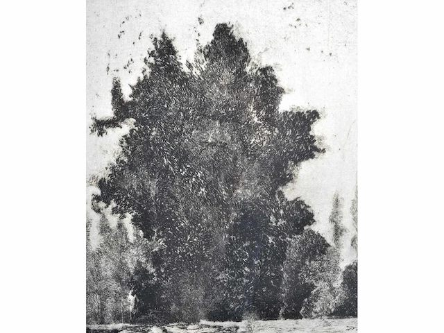 André roelant - landschap - ets - afbeelding 5 van  8