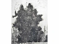 André roelant - landschap - ets - afbeelding 5 van  8