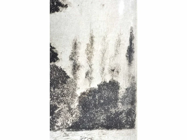 André roelant - landschap - ets - afbeelding 6 van  8
