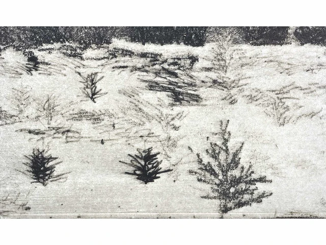 André roelant - landschap - ets - afbeelding 7 van  8