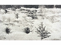André roelant - landschap - ets - afbeelding 7 van  8