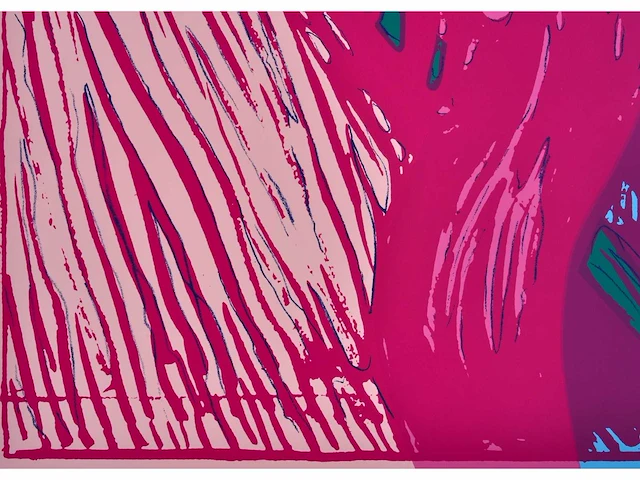 Andy warhol (naar) - the scream - zeefdruk - afbeelding 4 van  10