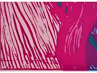Andy warhol (naar) - the scream - zeefdruk - afbeelding 4 van  10