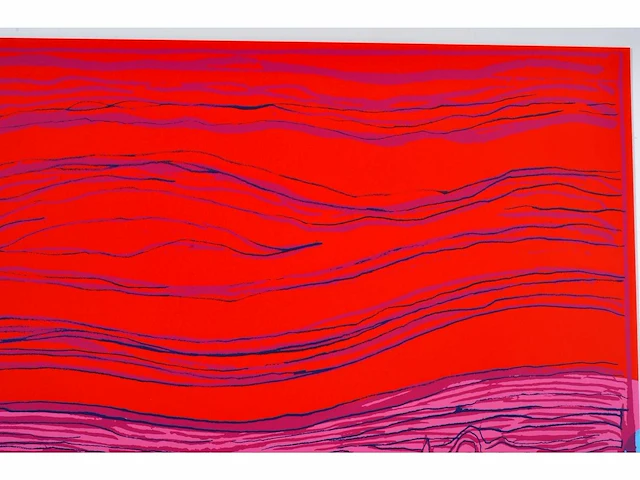 Andy warhol (naar) - the scream - zeefdruk - afbeelding 6 van  10