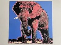 Andy warhol : olifant - afbeelding 1 van  1