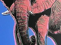 Andy warhol : olifant - afbeelding 2 van  5