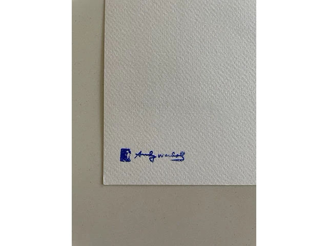 Andy warhol : panda - afbeelding 5 van  5
