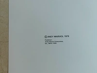 Andy warhol - afbeelding 4 van  13