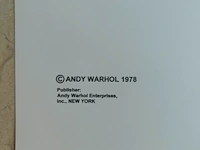 Andy warhol - afbeelding 10 van  13