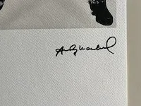 Andy warhol - afbeelding 4 van  5