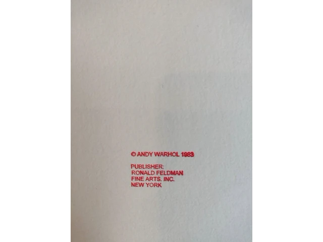 Andy warhol - afbeelding 9 van  9