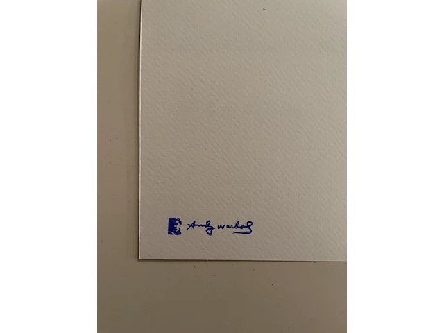 Andy warhol - afbeelding 5 van  5