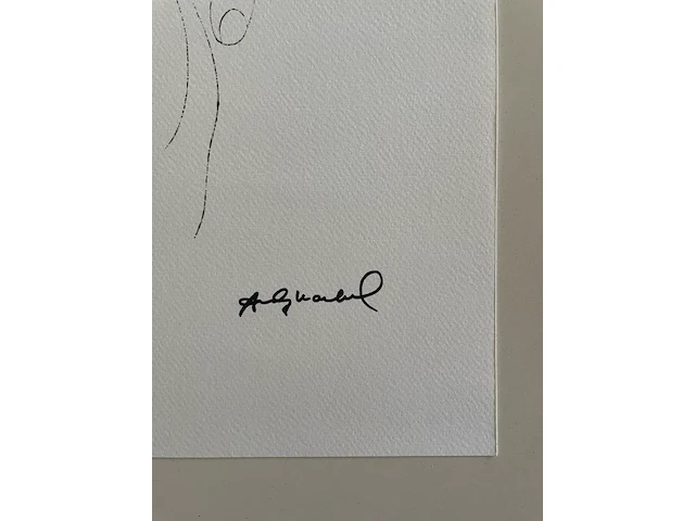 Andy warhol - afbeelding 4 van  5