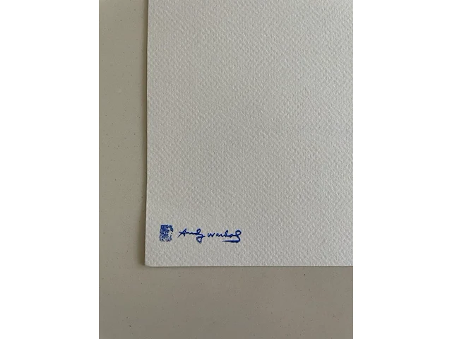 Andy warhol - afbeelding 5 van  5