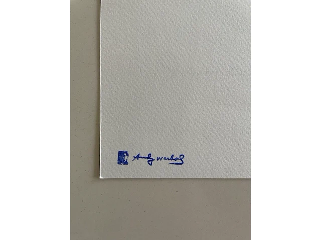 Andy warhol - afbeelding 5 van  5