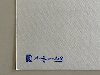 Andy warhol - afbeelding 5 van  5