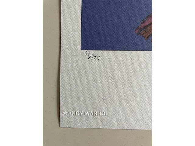 Andy warhol - afbeelding 3 van  5