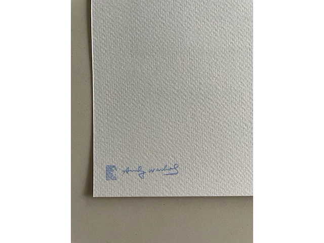 Andy warhol - afbeelding 5 van  5