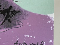 Andy warhol - afbeelding 4 van  5