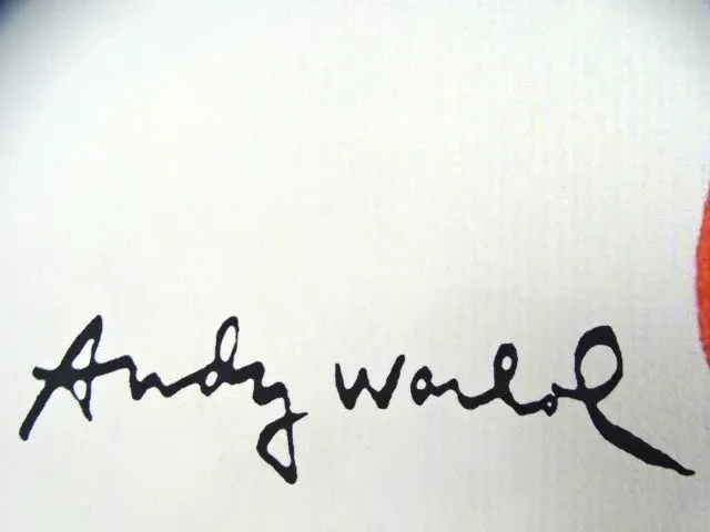 Andy warhol - afbeelding 3 van  6