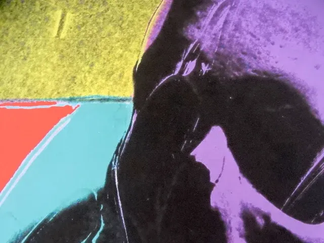 Andy warhol - afbeelding 2 van  6