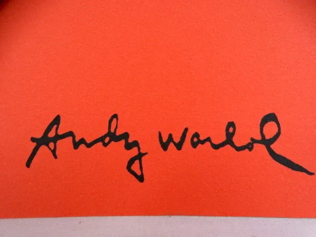 Andy warhol - afbeelding 3 van  6