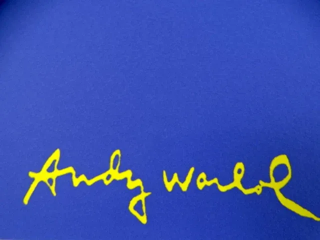 Andy warhol - afbeelding 3 van  6