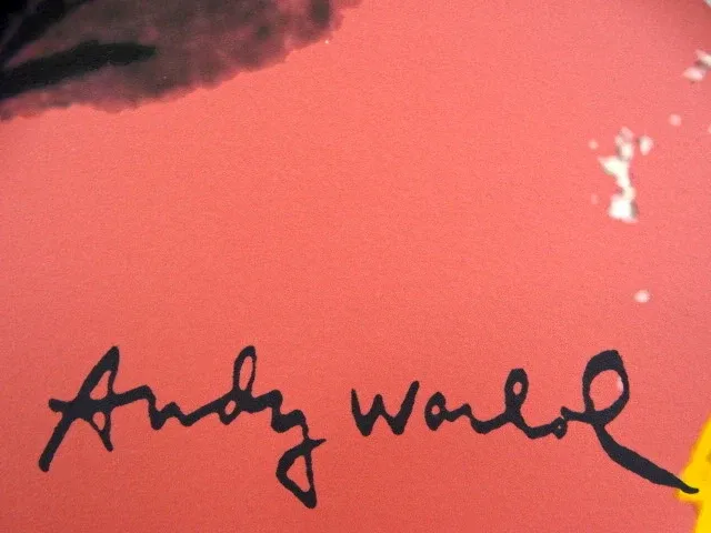 Andy warhol - afbeelding 3 van  6