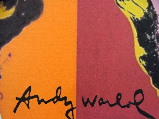 Andy warhol - afbeelding 3 van  6