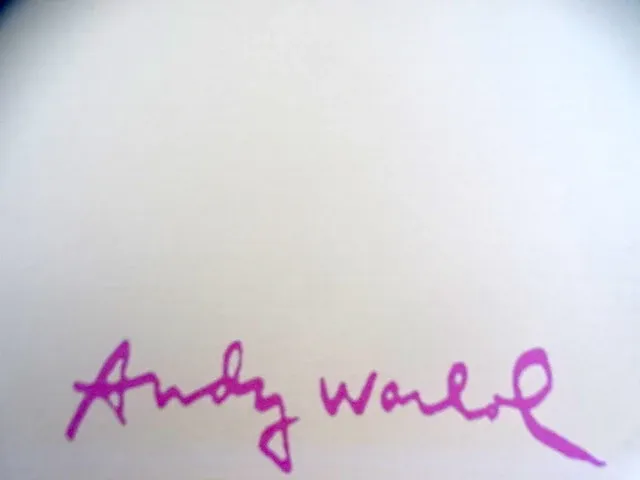 Andy warhol - afbeelding 3 van  6