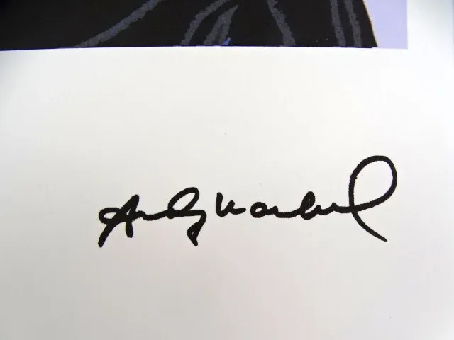 Andy warhol - afbeelding 3 van  6