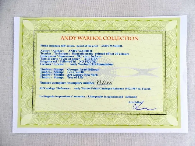 Andy warhol - afbeelding 6 van  6