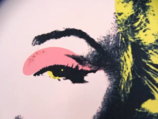 Andy warhol - afbeelding 2 van  6