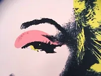 Andy warhol - afbeelding 2 van  6