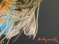 Andy warhol - afbeelding 3 van  4