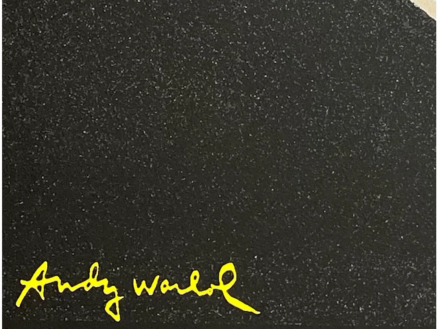 Andy warhol - afbeelding 3 van  4