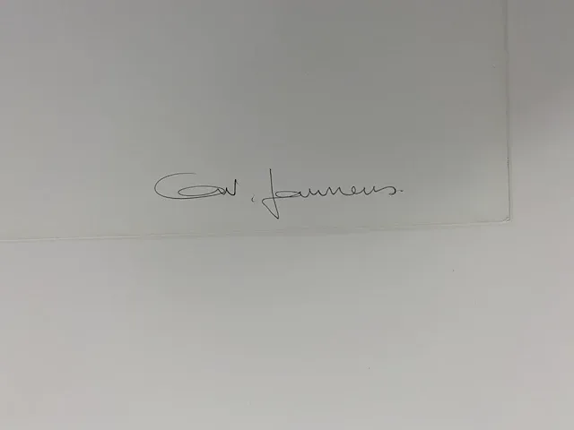Ann veronica janssens - eclipse - afbeelding 2 van  2